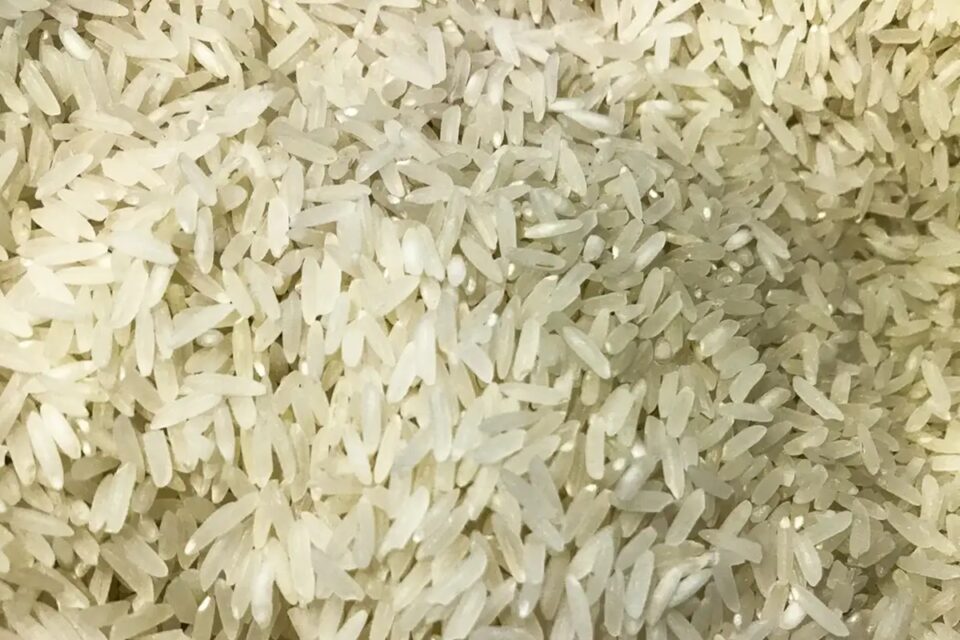 IBGE prevê crescimento de 17% na produção de arroz em Goiás