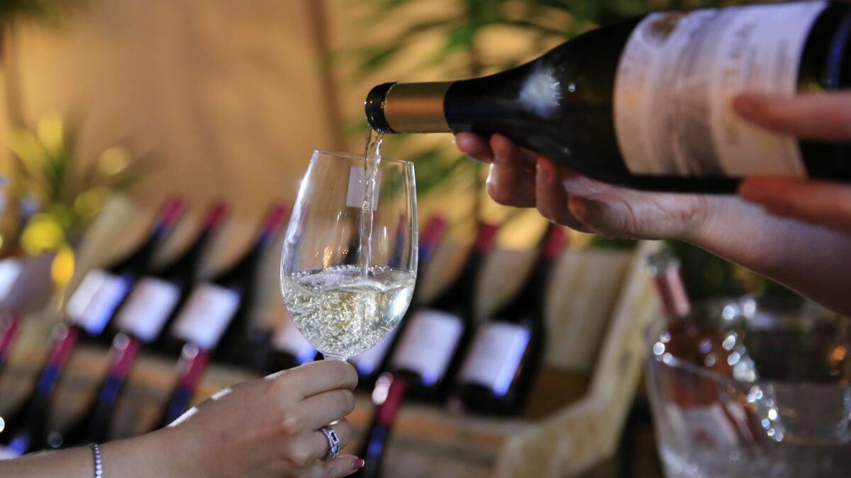Festiva em Goiânia celebra o Dia do Vinho com variedade de rótulos e show de jazz