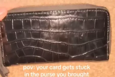 Carteira da Shein: surpresa da dona (Foto: Reprodução)