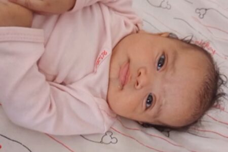 Cachorro que matou bebê em Cidade Ocidental será recebido em um abrigo