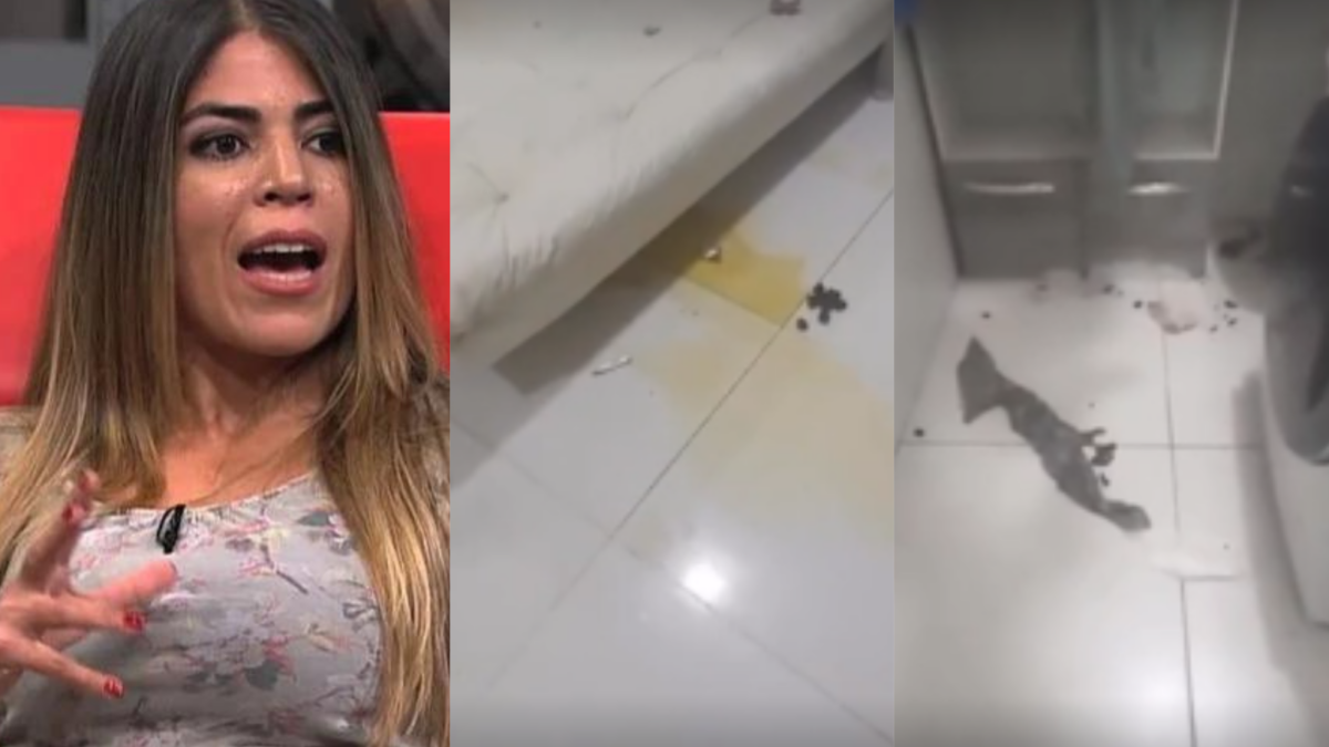 Polícia Civil indicia Bruna Surfistinha é indiciada por maus-tratos a animais