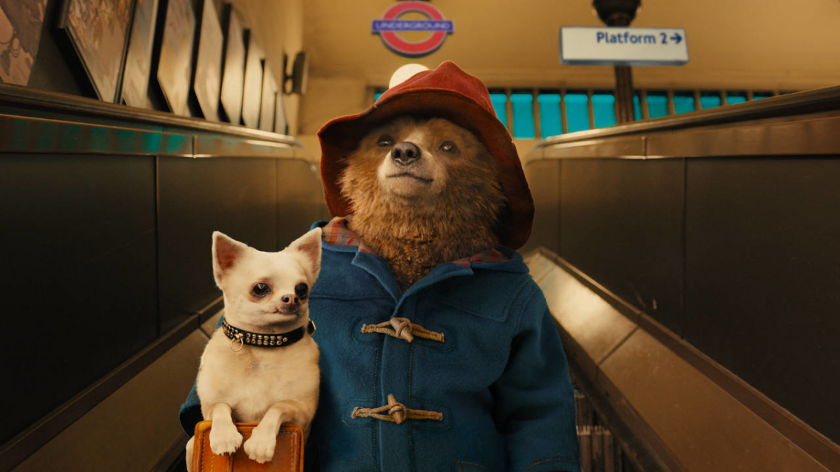 O urso britânico favorito de todos, Paddington, que adora marmelada, está de volta no primeiro trailer de “Paddington no Peru”, terceiro filme da franquia.