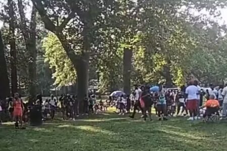 Vídeo mostra parte da correria durante tiroteio em parque de Nova York (Foto: reprodução)