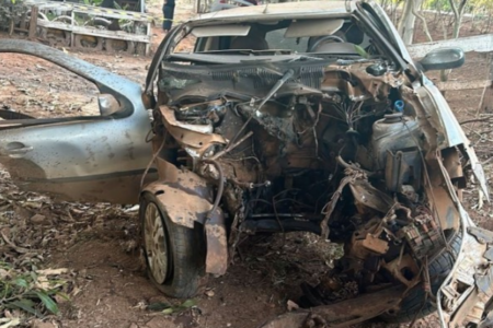 Carro que se envolveu em acidente na GO-174 (Foto: redes sociais)