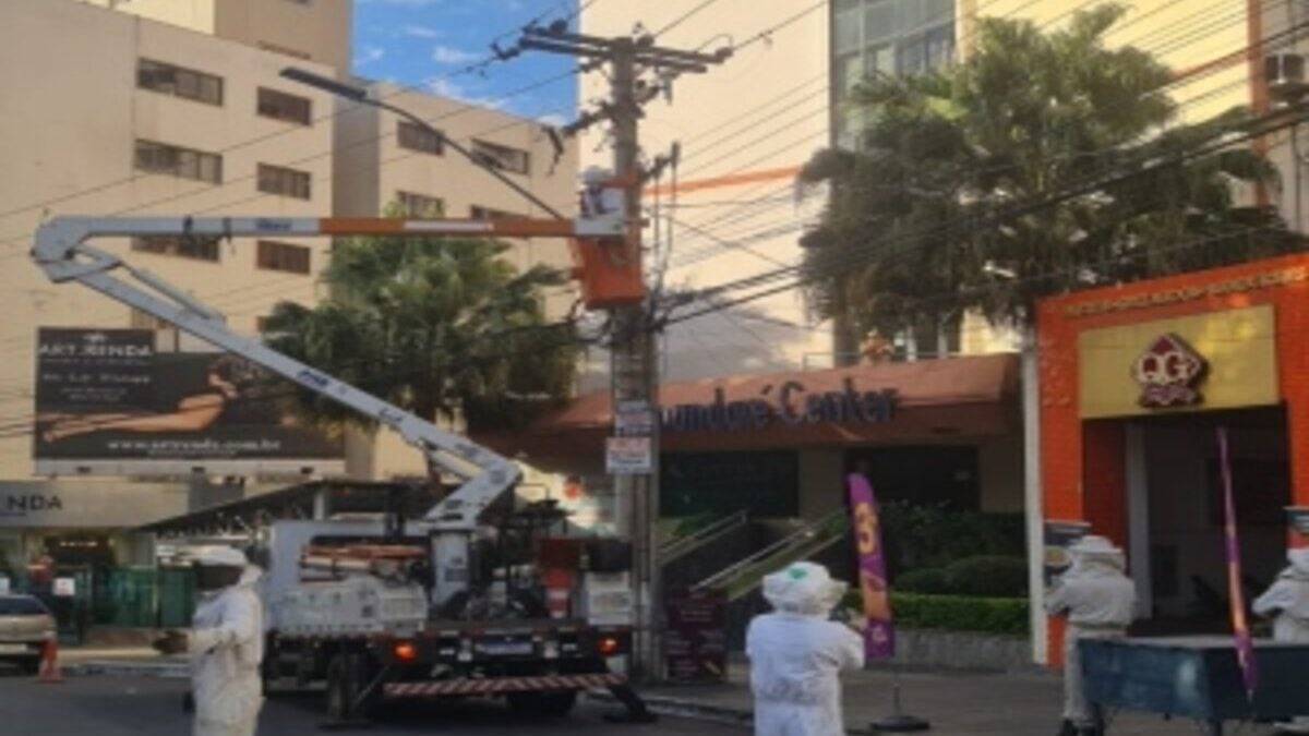 Imagem colorida mostra um caminhão guindaste levantado em frente a prédios