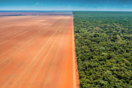 Plantação de soja na divisa da Terra Indígena Wawi, 2020. Crédito Kamikia Kisêdje. Acervo do fotógrafo