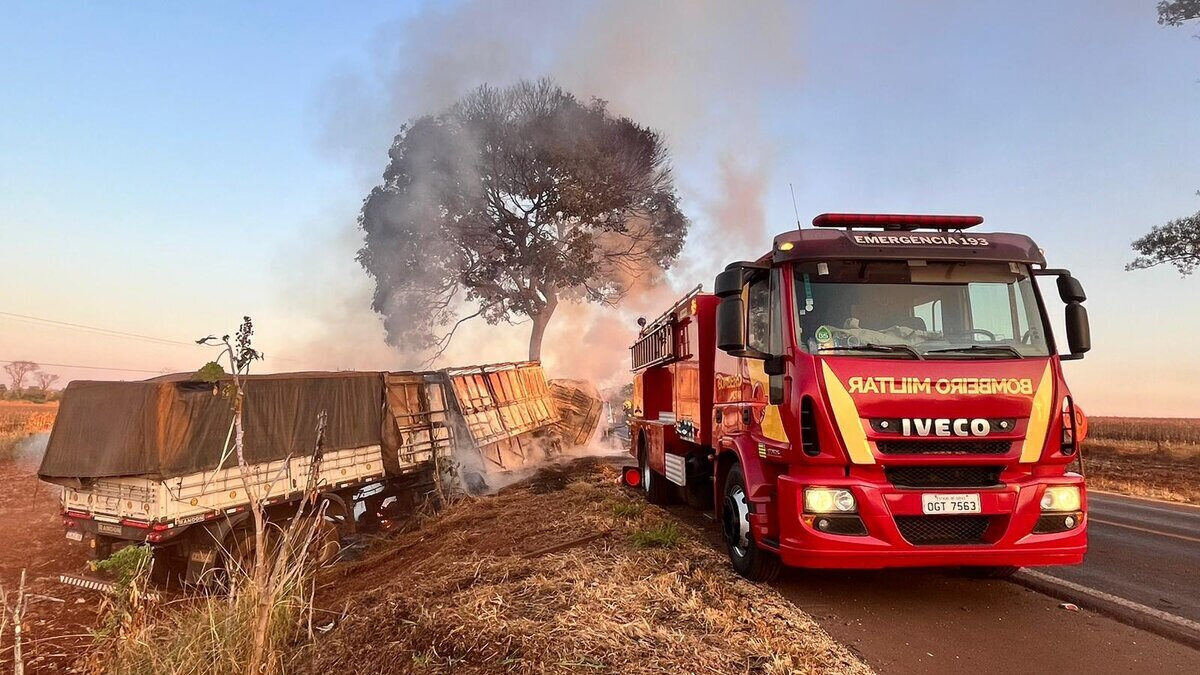 Imagem mostra caminhão queimado que bateu em.uma árvore