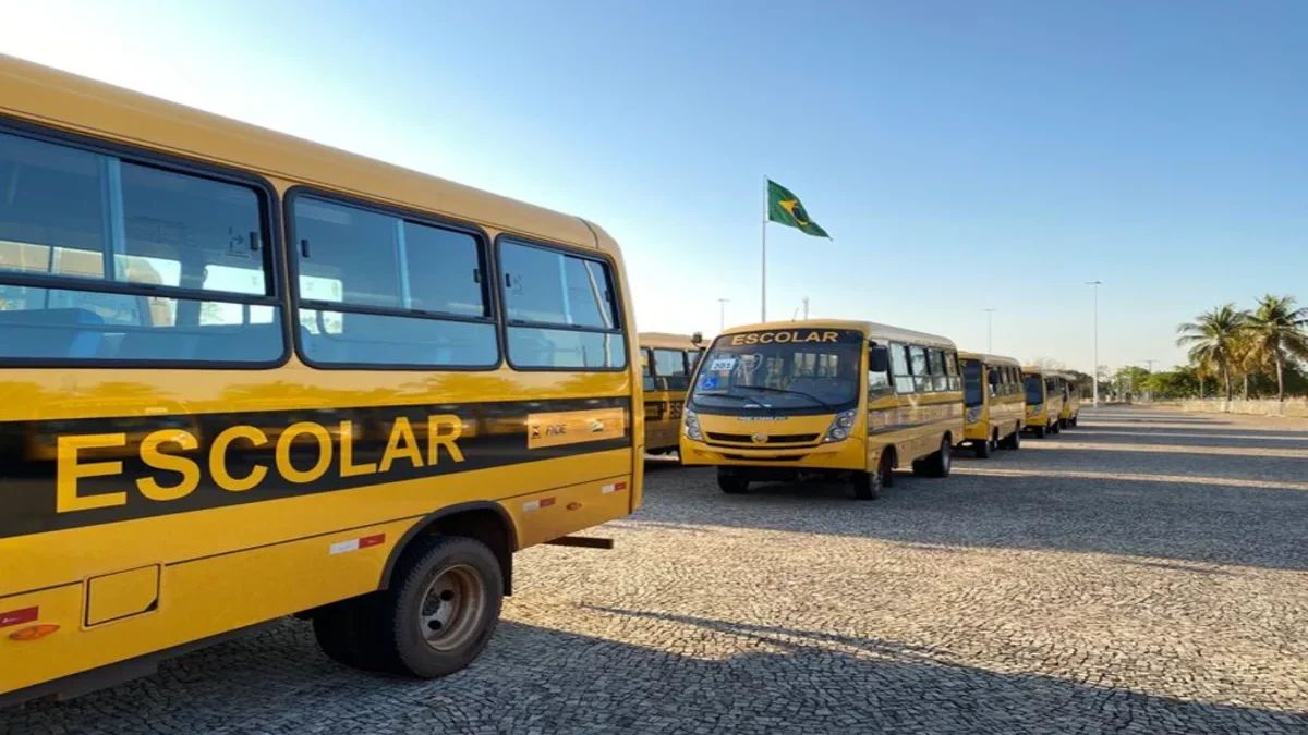 Imagem colorida mostra uma fila de ônibus usados no transporte escolar. Todos nas cores amarelo e preto.