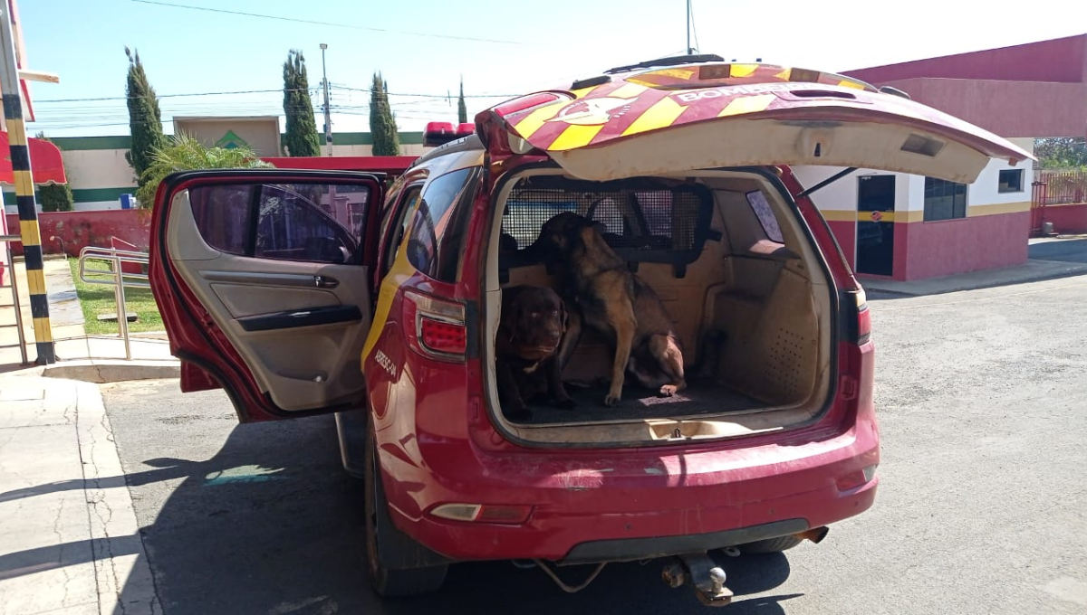 Turistas desaparecidos em caverna: cães dos bombeiros de Luziânia vão ajudar nas buscas em Terra Ronca