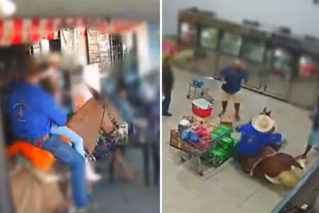 Homem precisou da ajuda dos clientes para se levantar Peão é investigado após cair com cavalo em distribuidora de bebidas de Britânia; entenda