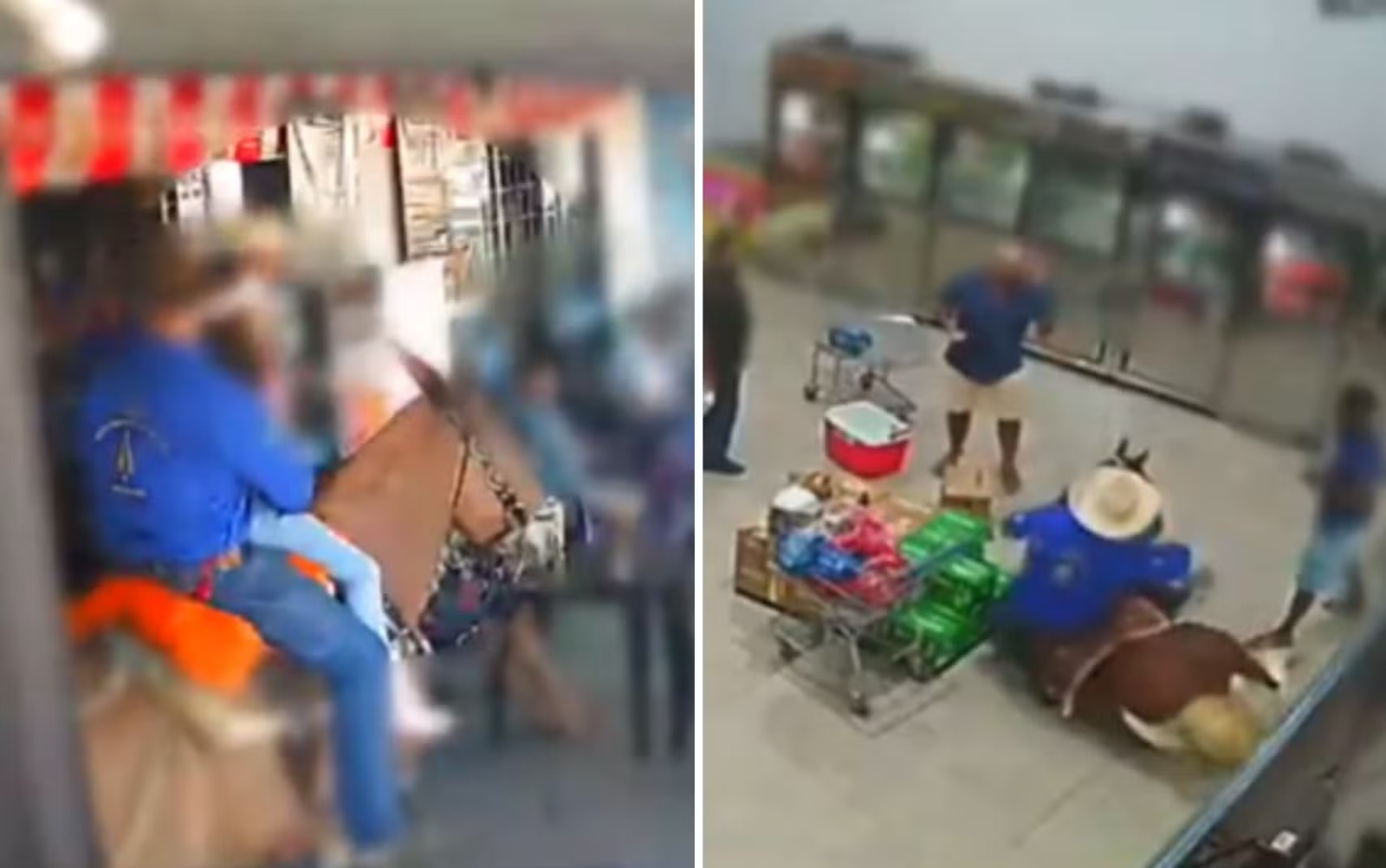 Peão é investigado após cair com cavalo em distribuidora de bebidas de Britânia; entenda