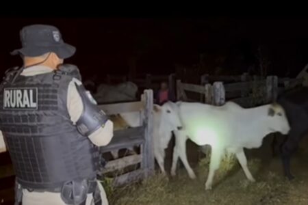Suspeito de furtar R$ 175 mil em gado é morto pela PM e comparsa é preso, em Catalão