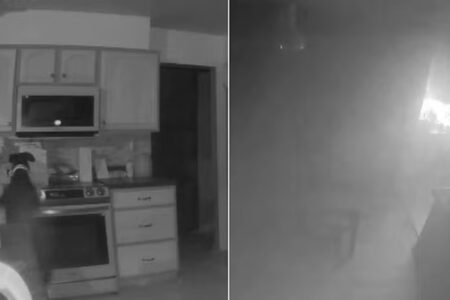 Cachorro liga fogão e provoca incêndio em residência nos EUA Quando os bombeiros foram analisar as câmeras da residência ficaram chocados