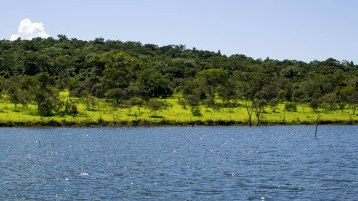 Parque Estadual Altamiro de Moura Pacheco (Peamp), uma das 24 unidades de conservação da Semad