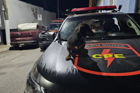 Cachorro foi resgatado sem ferimentos e devolvido ao dono em Cristalina (Foto reprodução Zap Catalão)