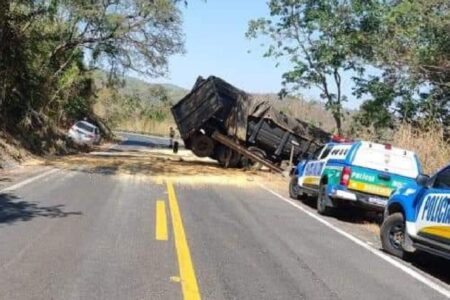 Milho espalhado pela pista da GO-213 (Foto: Corpo de Bombeiros)