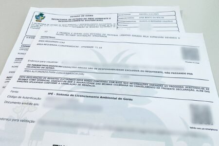 Modelo de licença ambiental emitida pela Semad (Foto: Divulgação)