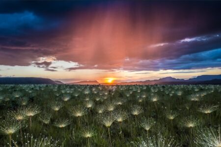 Fotógrafo vencedor de 15 prêmios teve trabalhos na National Geographic Dia Mundial da Fotografia: André Dib e o poder da imagem documental
