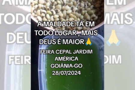 Feijão verde comprado em feira de Goiânia fica branco na água e gera revolta na web