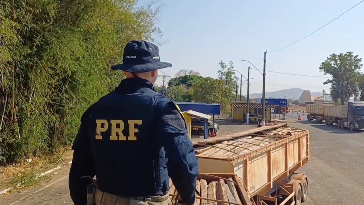 Imagem colorida mostra a carreta de um caminhão carregada de madeira ilegal e um agente da PRF em cima
