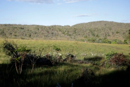 Representantes do governo de Rondônia visitaram Goiás (Foto: Agência Brasil)