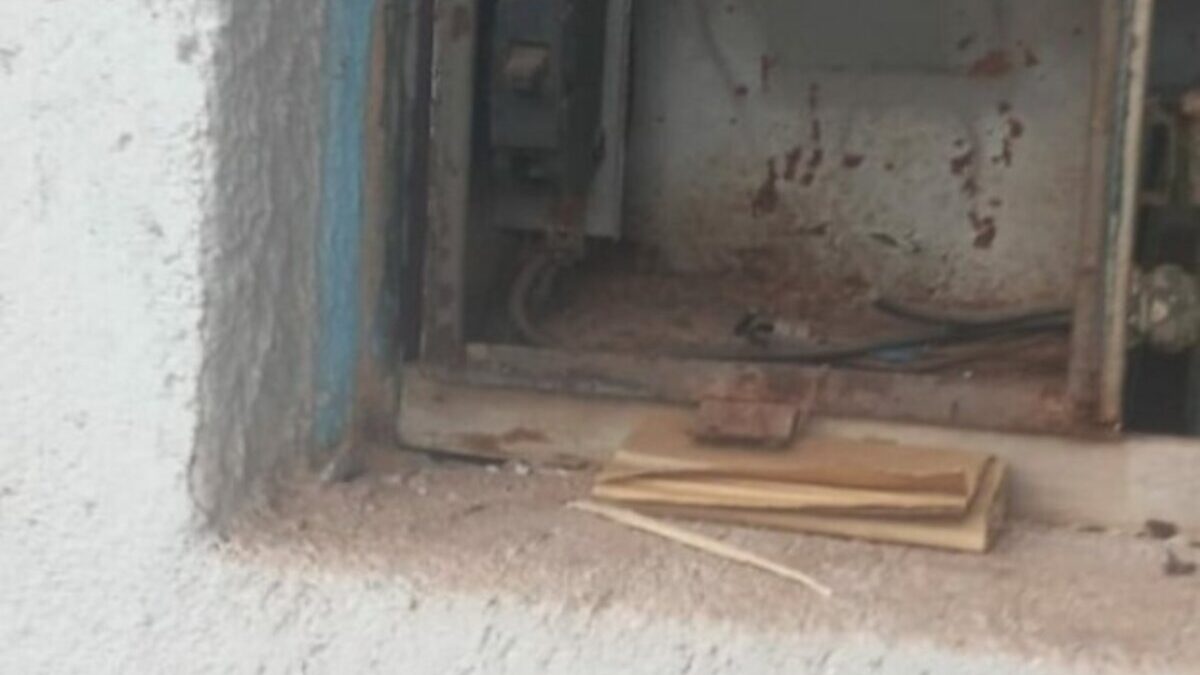 Imagem colorida mostra vários pedaços de madeira em um local todo de cimento.