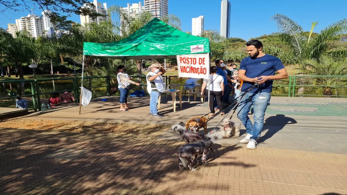 Imagem colorida mostra um posto de vacinação contra a raiva
