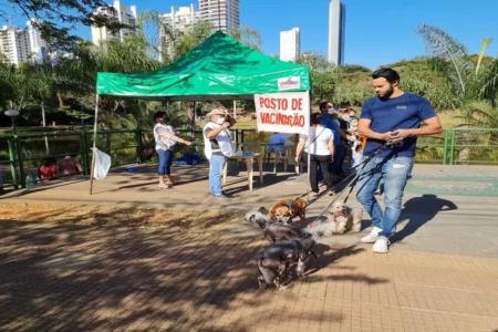 Imagem colorida mostra um posto de vacinação contra a raiva