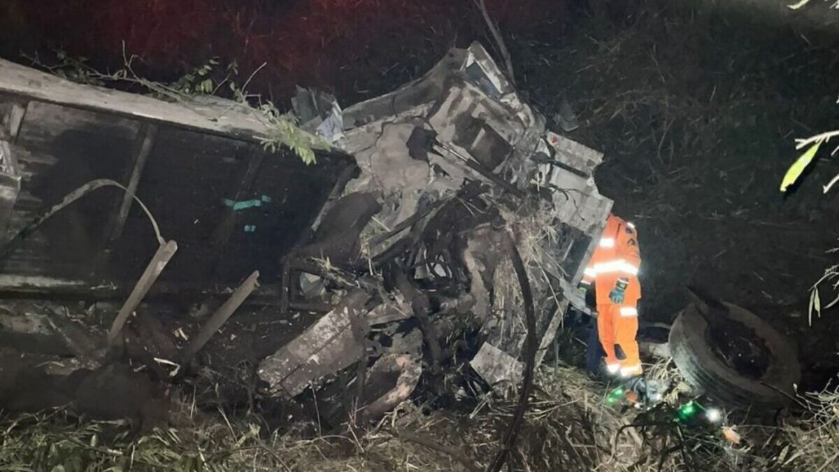 Motorista fica preso às ferragens após caminhão tombar na BR-050 (Foto: Divulgação)