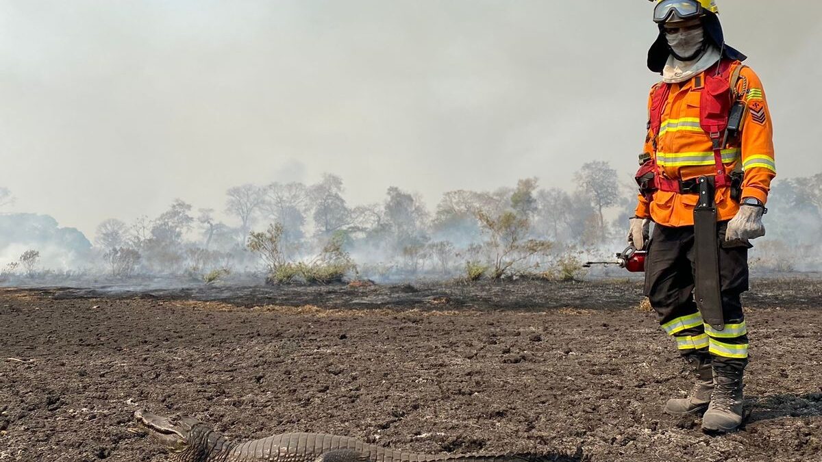 Bombeiros voltam a Goiás após missão de combate a incêndios no Pantanal