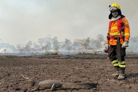 Bombeiros voltam a Goiás após missão de combate a incêndios no Pantanal