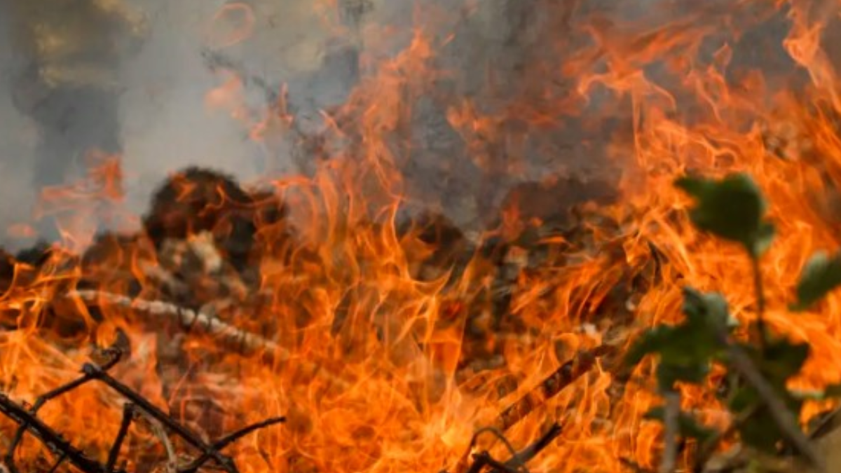 Inpe monitora queimadas no Brasil (Foto: Agência Brasil)