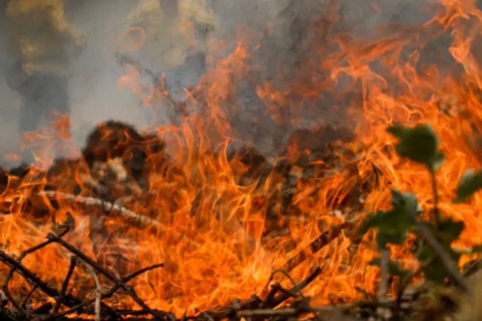 Inpe monitora queimadas no Brasil (Foto: Agência Brasil)