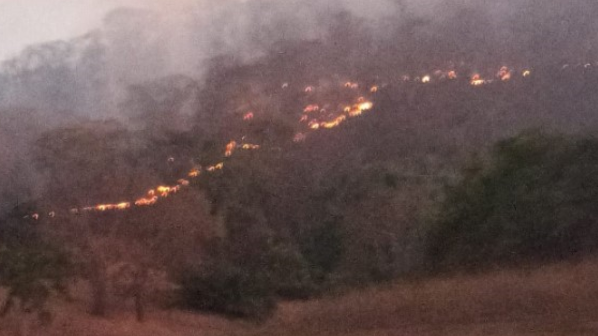 Dados do Inpe mostram que município teve mais de 7 mil focos Jataí é a cidade com o maior número de focos de incêndio em Goiás; veja ranking