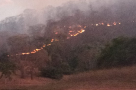 Dados do Inpe mostram que município teve mais de 7 mil focos Jataí é a cidade com o maior número de focos de incêndio em Goiás; veja ranking