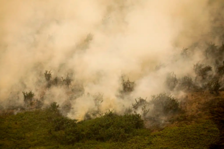 Queimadas no Brasil: indício de ação criminosa (Foto: Agência Brasil)