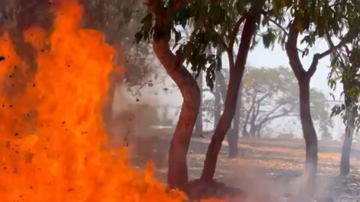 Bombeiros combatem incêndio perto do Paço de Goiânia