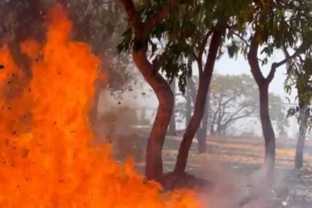 Bombeiros combatem incêndio perto do Paço de Goiânia