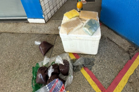 Droga escondida entre pacotes de açai (Foto: Polícia Civil)
