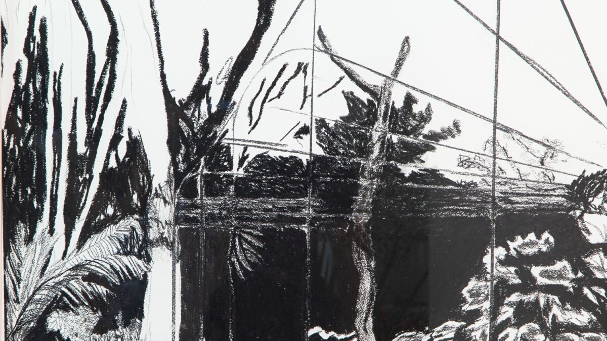 Cerrado Galeria inaugura exposição coletiva com obras de mais de 15 artistas