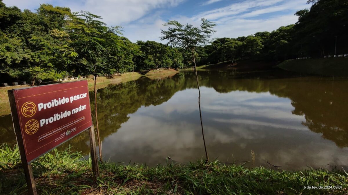 Prefeitura alerta que soltar peixes exóticos em lagos sem estudo é proibido (Foto: Divulgação)