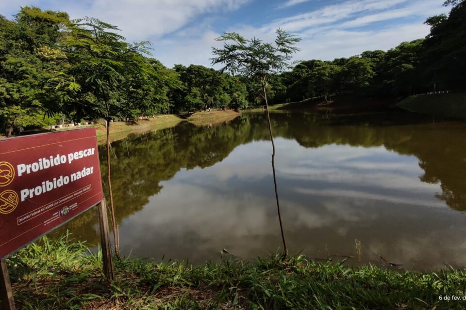 Prefeitura alerta que soltar peixes exóticos em lagos sem estudo é proibido (Foto: Divulgação)