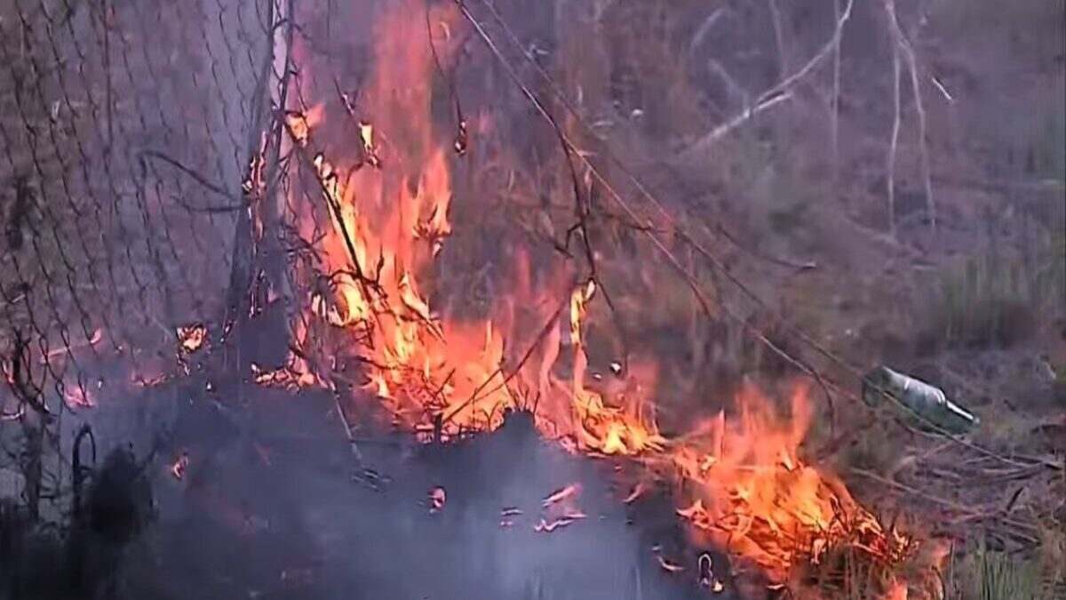 Imagem colorida mostra o fogo em uma área de mato seco
