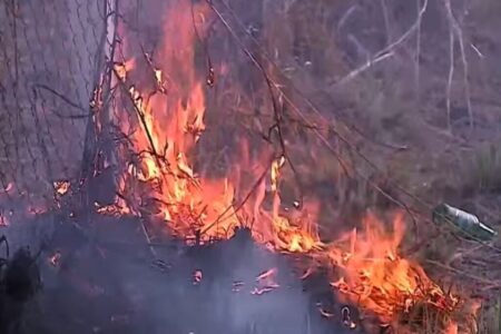 Imagem colorida mostra o fogo em uma área de mato seco