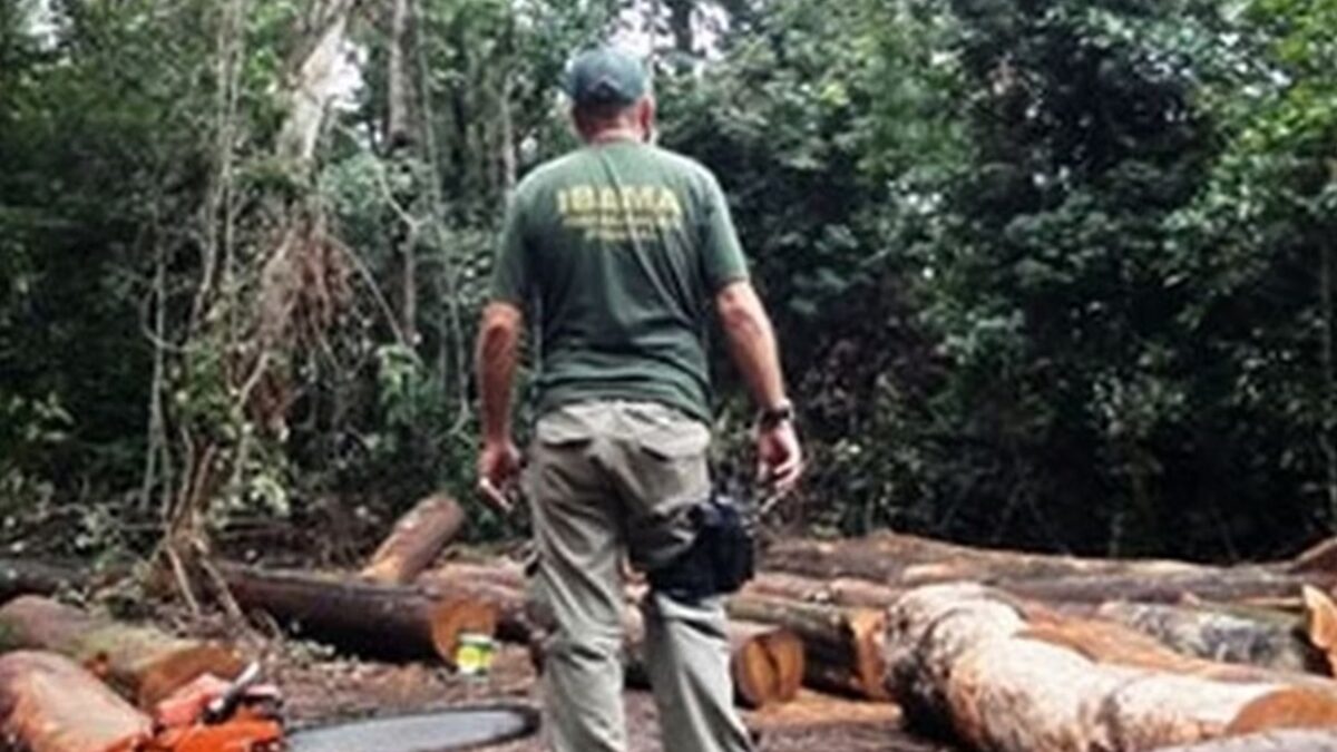 Polícia Civil do DF investiga suspeito de marcar hora para matar agente do Ibama