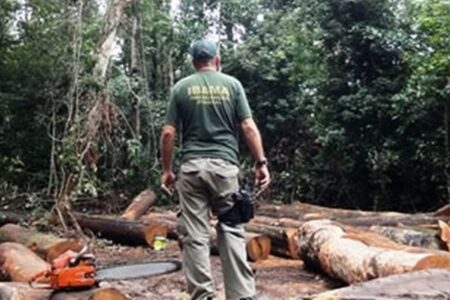 Polícia Civil do DF investiga suspeito de marcar hora para matar agente do Ibama