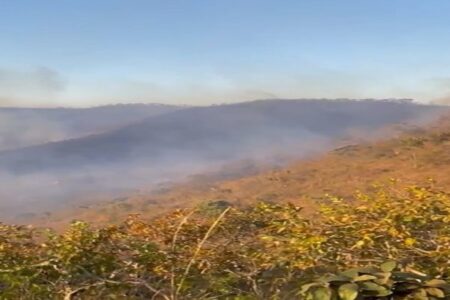 Imagem colorida mostra uma área de vegetação pegando fogo