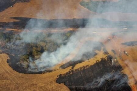 Fogo consumiu 700 hectares em Caiapônia Homem é preso suspeito de causar incêndio que destruiu fazendas e matou animais em Goiás