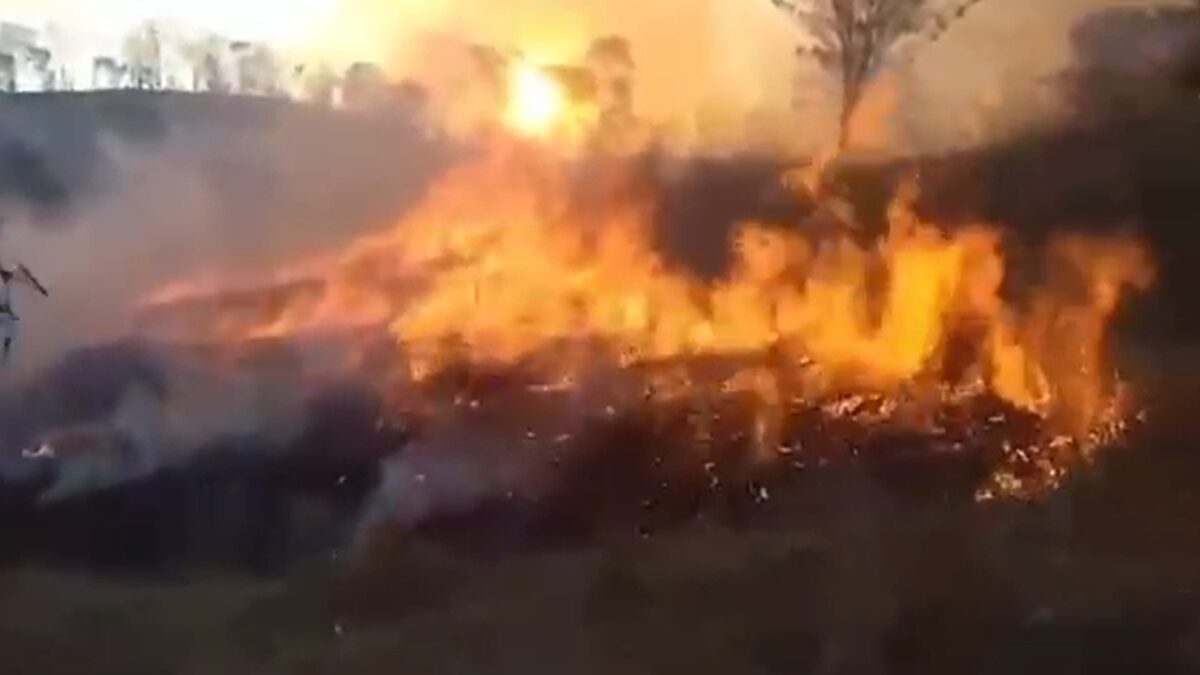 Projeto ainda aguarda o despacho do presidente da Câmara Deputados apresentam projeto para aumentar penas de incêndios criminosos