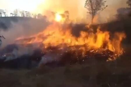 Projeto ainda aguarda o despacho do presidente da Câmara Deputados apresentam projeto para aumentar penas de incêndios criminosos